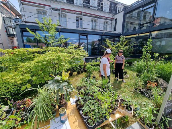 Pflanzentauschbrse ZW-Vernetzt Zweibrcken, Zusammenarbeit mit Stadtbcherei Zweibrcken Lubera