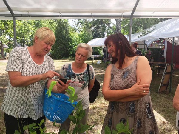 Pflanzentauschbrse Verein Dorfleben 18 in Petershagen/Eggersdorf Lubera