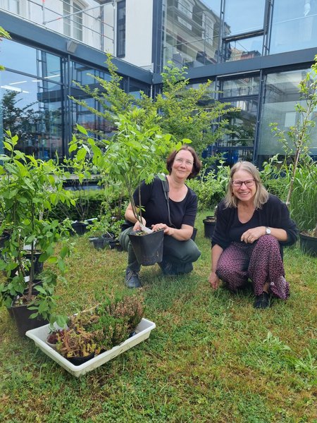 Pflanzentauschbrse ZW-Vernetzt Zweibrcken, Zusammenarbeit mit Stadtbcherei Zweibrcken Lubera