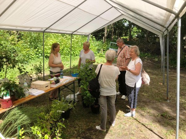 Pflanzentauschbrse Verein Dorfleben 18 in Petershagen/Eggersdorf Lubera