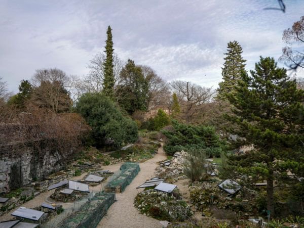 Jardin des Plants