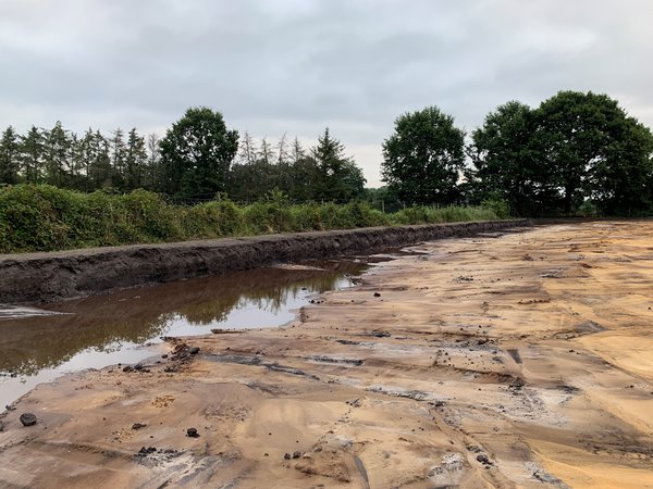 Bagger Lubera Bad Zwischenahn Gewächshaus Bau Abtragung Erde