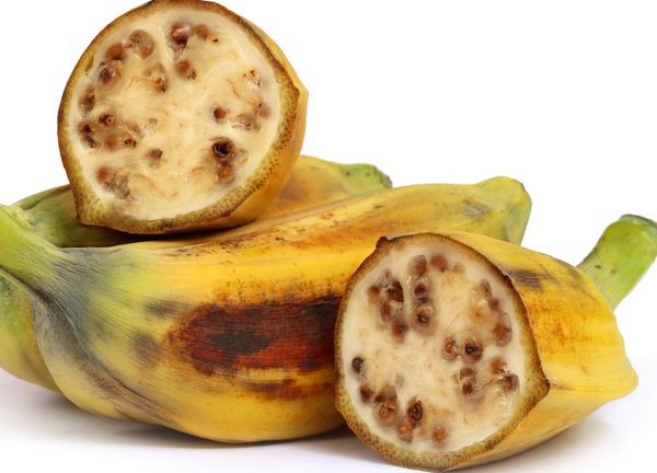 Wilde Banane mit Samen