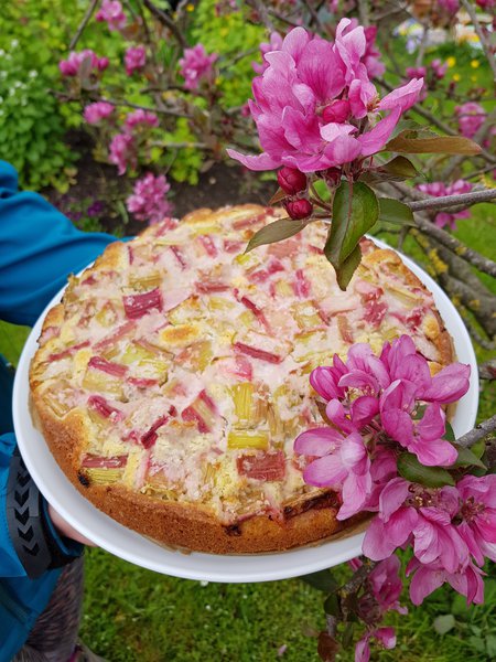 Süss-saure Garten Ranka Tessin Rhabarber-Kokos Kuchen und Redlove Circe Blüte Lubera