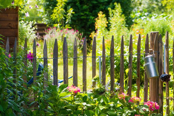 Schrebergarten mieten im Trend.