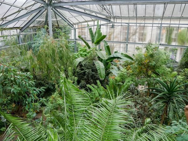 Hortus botanicus Amsterdam