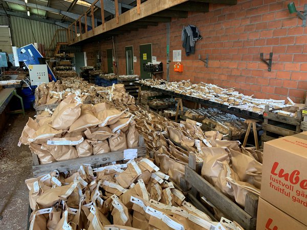 Blumenzwiebeln sind angekommen Lieferung Bad Zwischenahn
