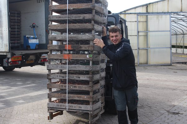 Emballage des bulbes de fleurs chez Lubera