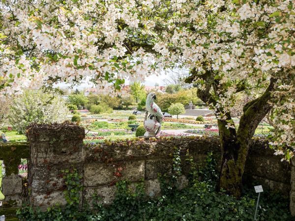 Der Botanische Garten Munchen Fantastische Flora In Nymphenburg