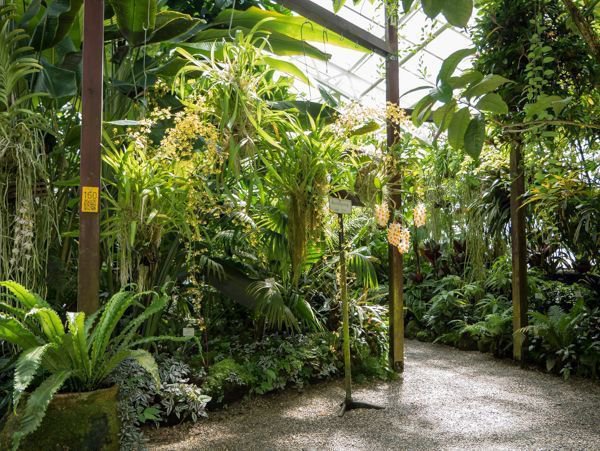 Der Botanische Garten Munchen Fantastische Flora In Nymphenburg