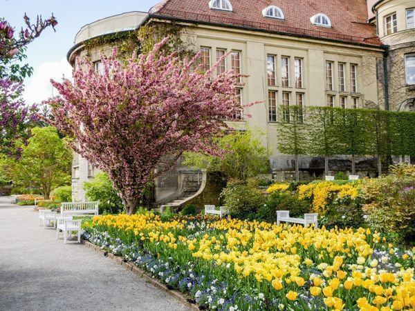 Der Botanische Garten Munchen Fantastische Flora In Nymphenburg