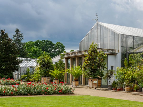 botanischer garten bonn