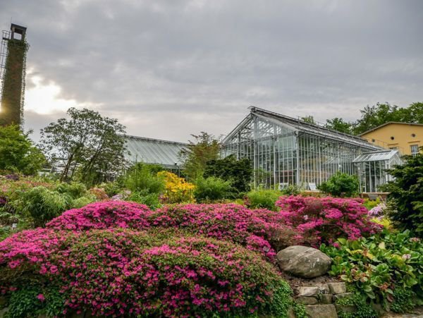 Der Botanische Garten Potsam