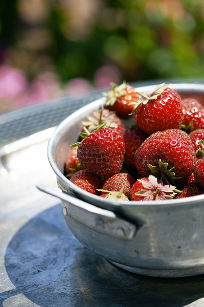 Vom Beet in die Kche, mein Gartenjahr, Juni , Sabine Reber, Sth Grnig