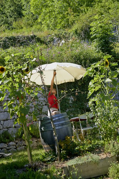 Vom Beet in die Kche , Sabine Reber, Sth Grnig, selbst anbauen