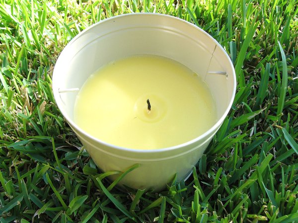 Gleich mehrere Citronella Kerzen gegen Mücken selber machen
