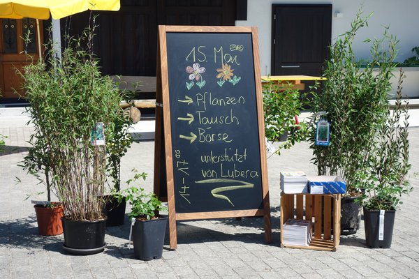 Pflanzentauschbrse Inge Susanne und Markus Henzi Rtihof Grnichen Lubera