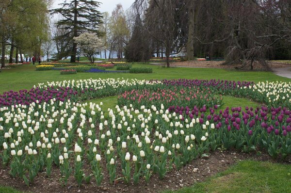 Fte de la tulipe, CH-Morges, 2012, Gestaltung Jeanjaquet Fabrice