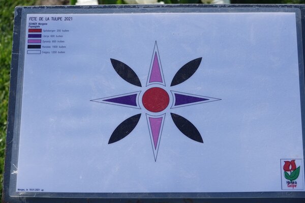 Fte de la tulipe, CH-Morges, 2021, Gestaltung Schr Morgane