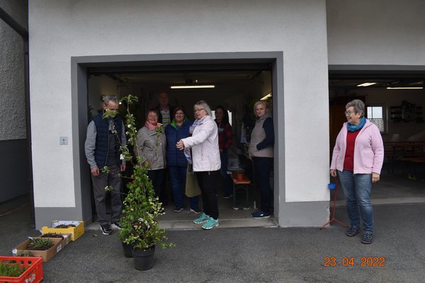 Pflanzentauschbrse Verein fr Gartenbau und Landschaftspflege Oberdiendorf e.V.