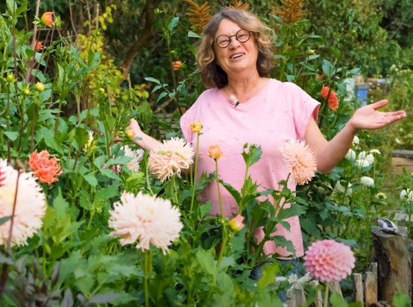 Dahlien schneiden, Gartenvideo, Anja