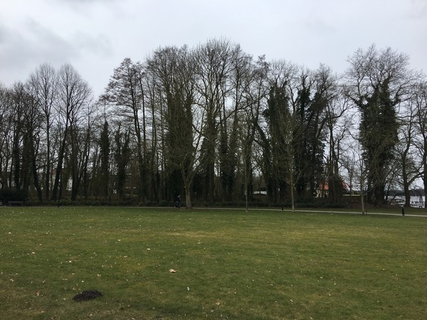 Artikelbild