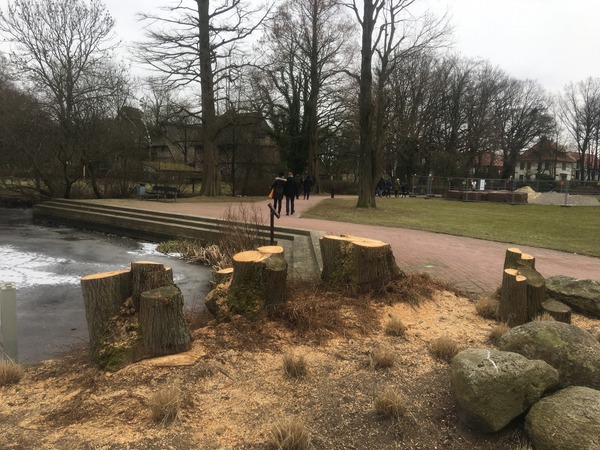 Artikelbild