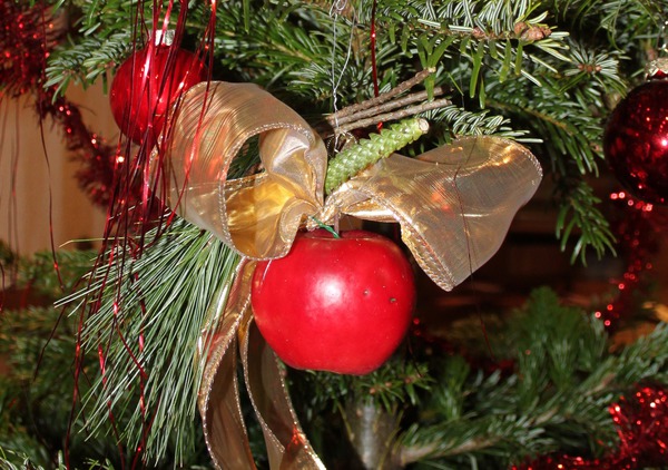 Weihnachtsapfel Paradis Myra Lubera