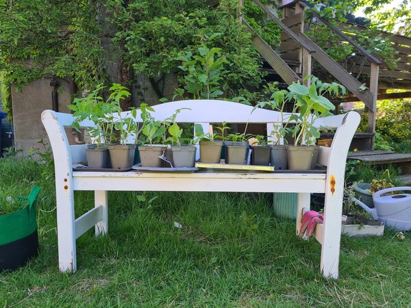 Der Garten im Mai, Jana Laura Lange, Pflanzzeit fr Fensterbank Youngster