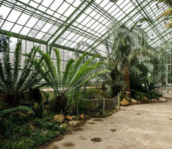 Botanischer Garten Schönbrunn