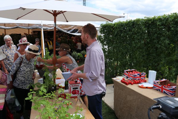 Hampton Court Besucher Lubera