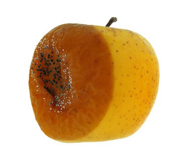 Faulender Apfel im Profil