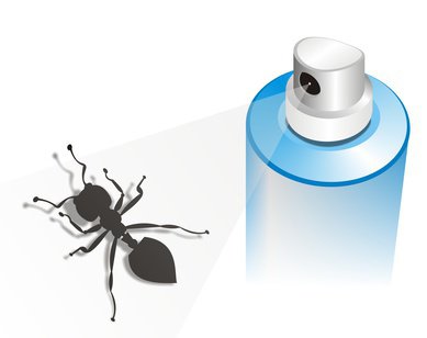 Insektenspray gegen Ameisen