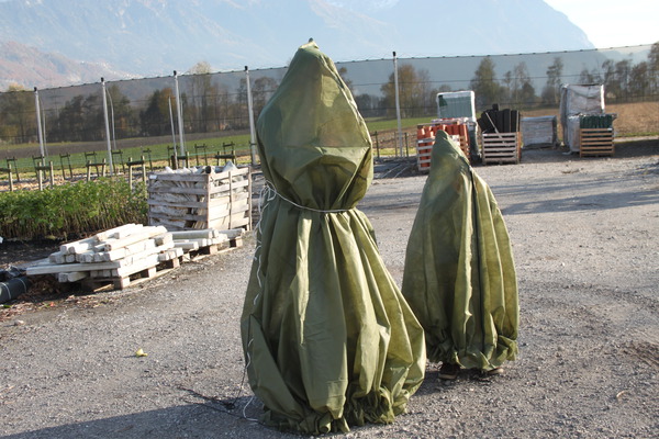 Frostschutz fr Pflanzen Frosthllen