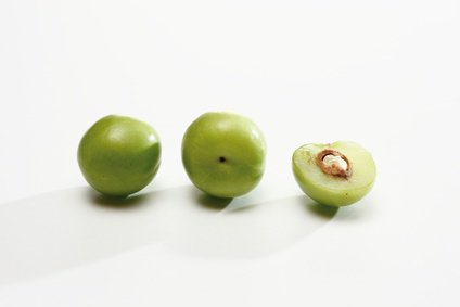 Früchte der Kirschpflaume (Prunus cerasifera)