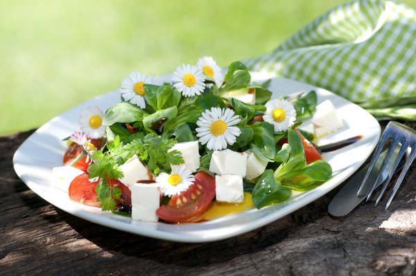 Gänseblümchen: dekorativ und essbar