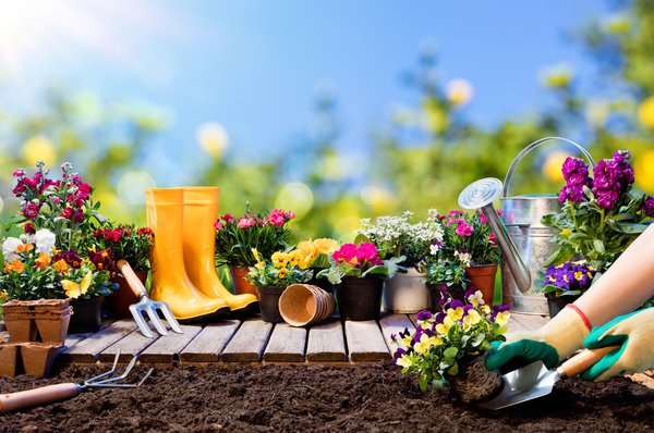Garten anlegen - Tipps & Tricks