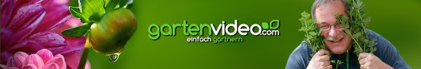 Gartenvideo Logo Lubera Youtube