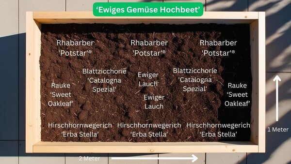 Set Gemsepflanzen Bundle Gemsebeet ?Ratatouill Hochbeet? Pflanzplan