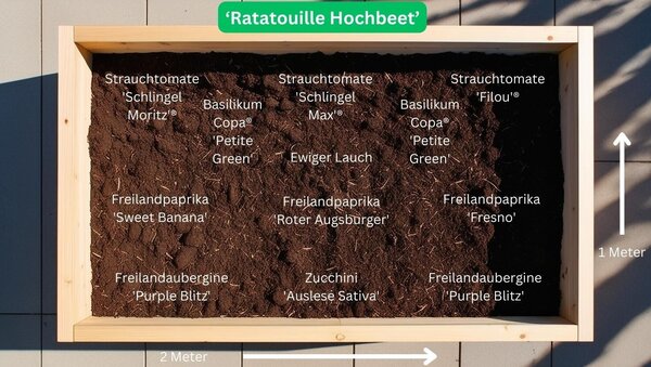 Set Gemsebeet ?Ratatouille Hochbeet? Pflanzplan