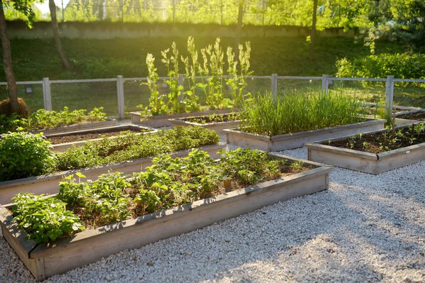 Wege dürfen im Gemüsegarten nicht fehlen