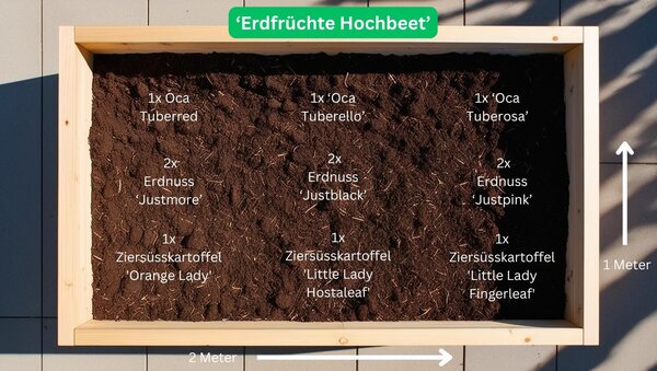 Bundle Gemsebeet 'Erdfrchte Hochbeet' Pflanzplan