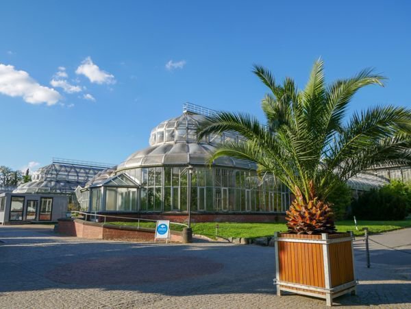 Der Botanische Garten Berlin