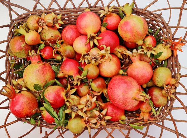Granatapfel FrÃ¼chte, GranatÃ¤pfel, Punica granatum, pomegranate, 