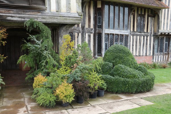 Great Dixter Staudengarten Südengland Lubera