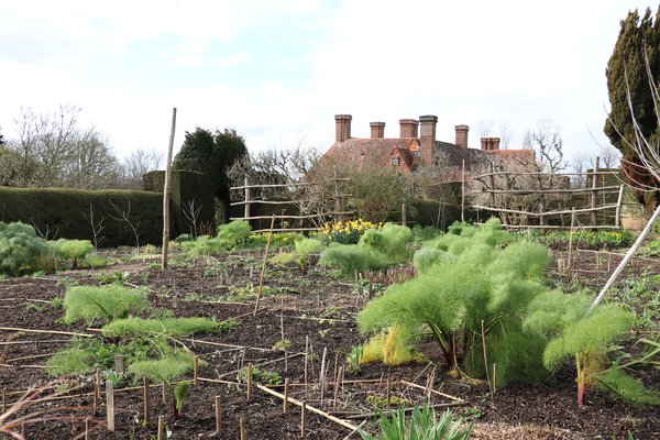 Great Dixter Staudengarten Südengland Lubera