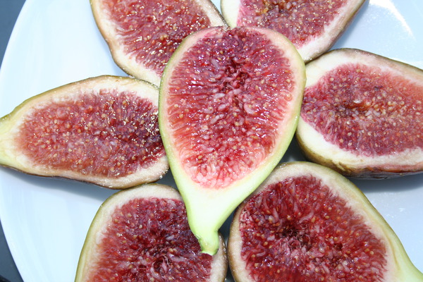 Fruchtfeige Gustis® Perretta Fruchtfeige Gustis® Perretta