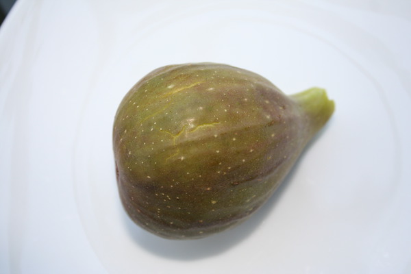 Fruchtfeige Gustis® Perretta Fruchtfeige Gustis® Perretta