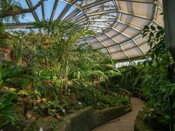 Botanischer Garten Berlin