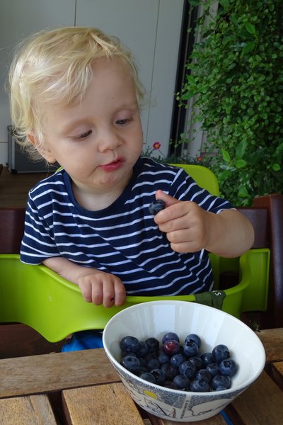 Felix Heidelbeeren